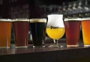 Six beers ready for sipping