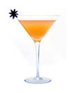 Grey Goose's Inaugural Partini