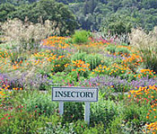 The Insectory at Benziger Family Winery