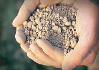 Sampling the soil at DeLoach