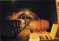 Del Dotto Winery cave