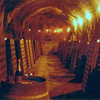 Cliff Lede Winery cave