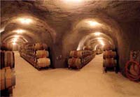 Robert Sinskey Vineyards built by Nordby Wine Caves