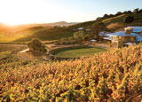 A sunset view above the winery at Stags Leap's Shafer Vineyards