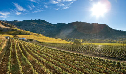 The sun over Shafer Vineyards in Stags Leap