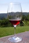 A glass of red wine on a summer day