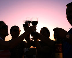 A group of people offering a toast with their wine glasses during a sunset