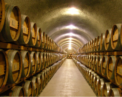 A cellar with rows of wine barrels