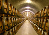 A cellar with rows of wine barrels