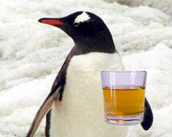 A penguin warming up with a glass of Scotch