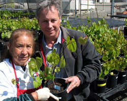 UC Davis' Connie Lopez hands one of the new rootstocks to Jim Pratt, owner of Cornerstone Certified Vineyard