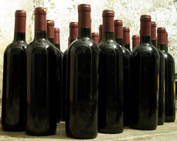 Bottles of red wine