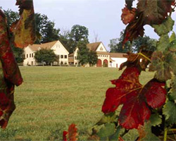 A view of First Colony Winery, one of Virginia's many wineries