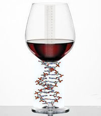 Pinot Noir Genome Identified
