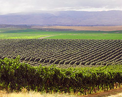 Yakima Valley in Washington