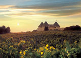 Chateau Elan in Atlanta is one of our Top 10 Wine Country Inns in the U.S.