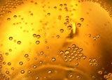 Learn about the history of Champagne
