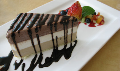Chocolate ice cream cake with chocolate sauce and fruit