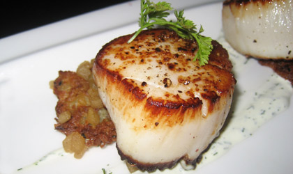 Large scallops with cream sauce and parsley
