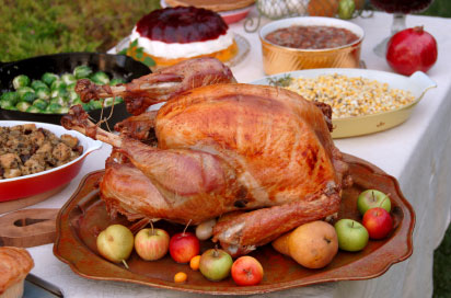 Thanksgiving turkey served with apples