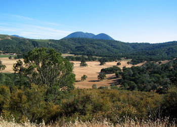 Brassfield's High Valley vineyards