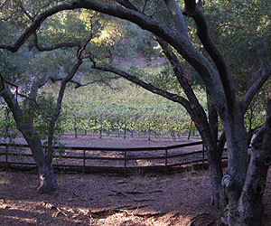 Rosenthal—The Malibu Estate in Malibu, CA