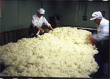 Rice: the main ingredient in sake production Sake production
