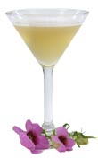 Try this simple recipe for an Angele Green Tea Cooler cocktail Try this simple recipe for an Angele Green Tea Cooler cocktail